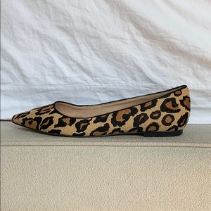 Sam Edelman leopard pointed toe flats